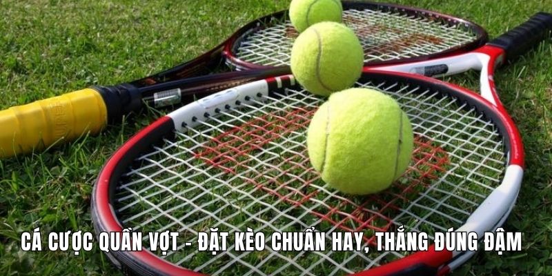 Cá Cược Quần Vợt - Đặt Kèo Chuẩn Hay, Thắng Đúng Đậm