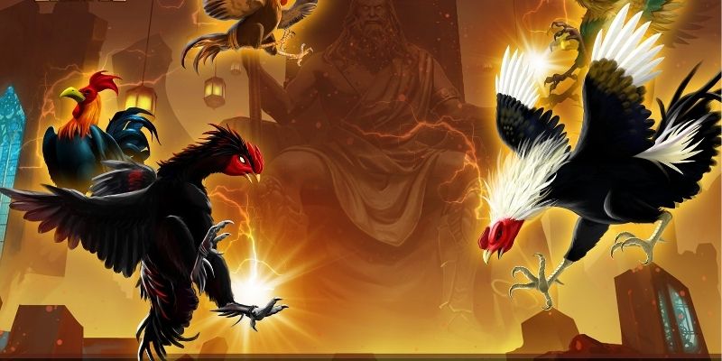 Sân chơi đấu kê trực tiếp, chân thực từng pha ra đòn